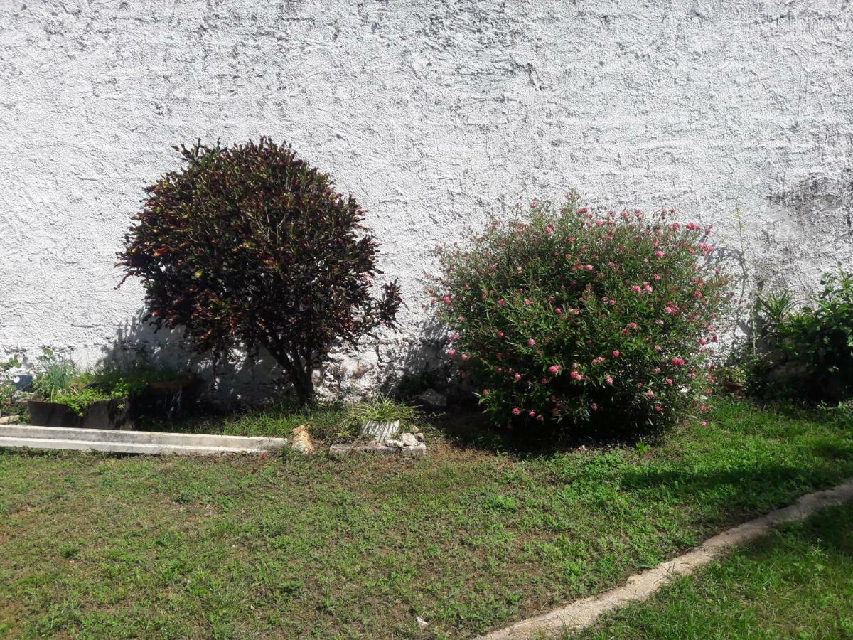 Hostal Y Temazcal Guemez Chichén-Itzá 외부 사진